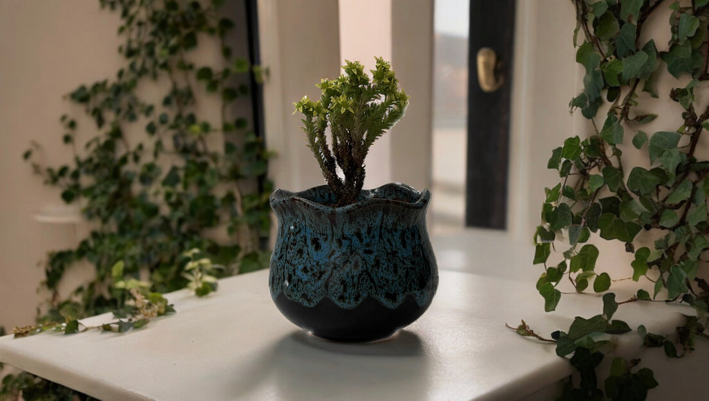 Mini Joshua Tree Mini Joshua Tree – Joshua Tree Candle Company